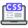 CSS
